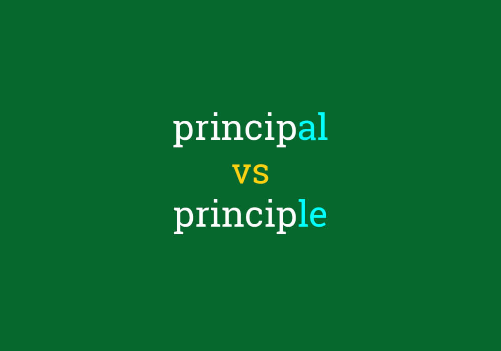 Principal vs. Principle â€“ What's The Difference? | Dictionary.com