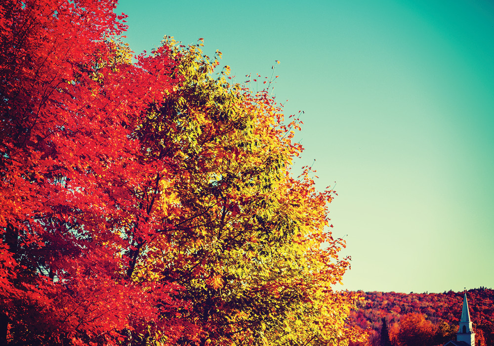 Speak The Season: 7 Essential Words Of Fall - Everything 