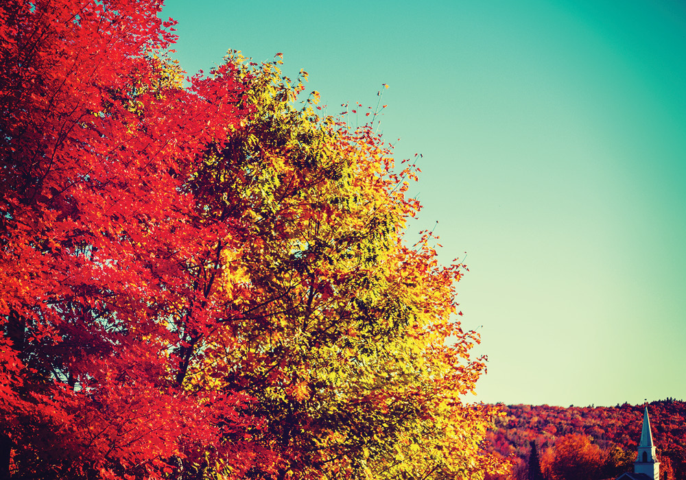 Seven Essential Words Of Fall Dictionary