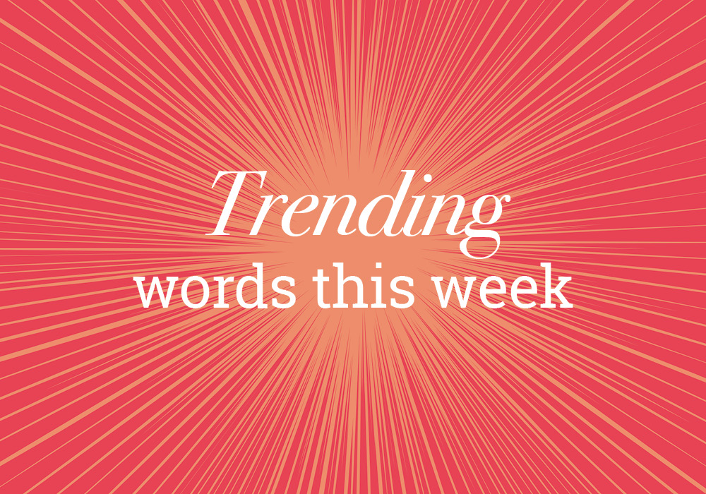 Misnomer And Other Trending Words On Everything After