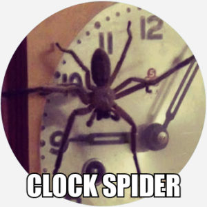 Australian Spiders Clock