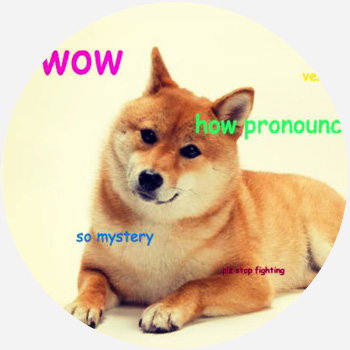 You Know What I MEME? Funny Doge Meme – That's Funny Stuff
