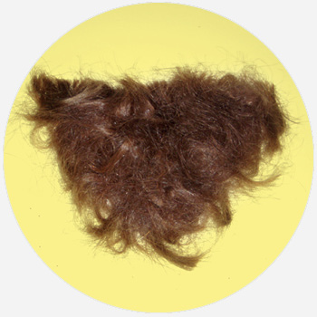 curly merkin