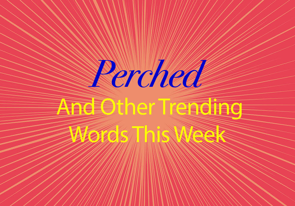 perched-and-other-trending-words-on-dictionary-dictionary