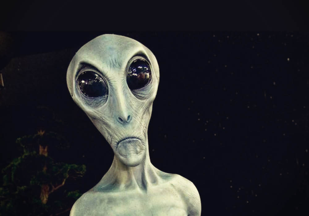 If Aliens Watched Our Media, They'd Describe Us With These Words ...