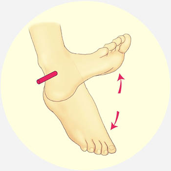 foot pain plantar flexion