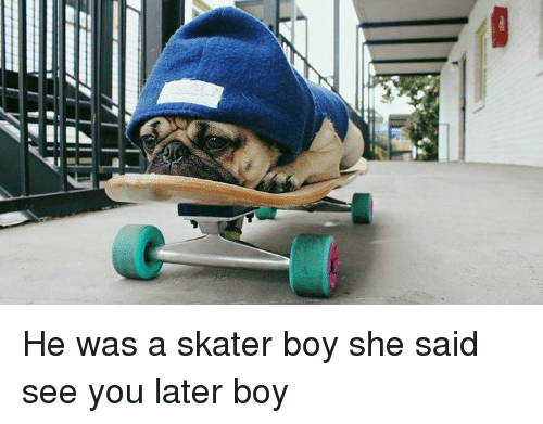 skater-boy-meaning-origin-slang-by-dictionary