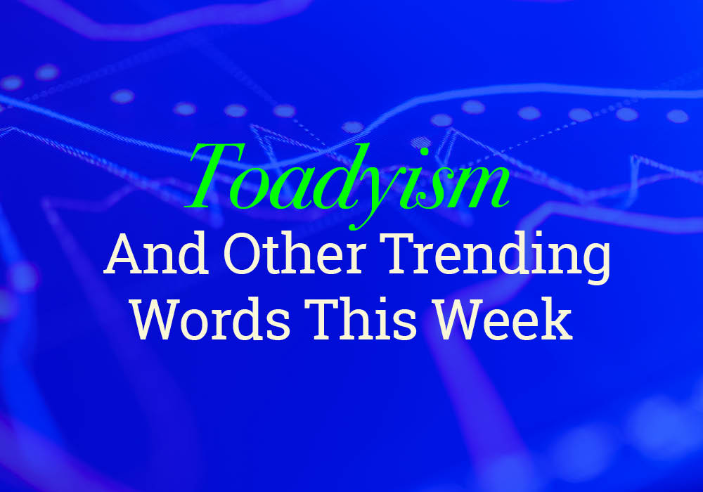 toadyism-and-other-trending-words-on-dictionary-dictionary