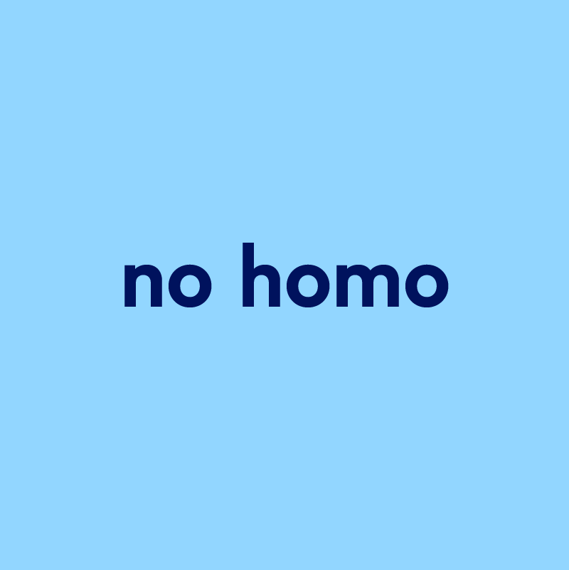 No homo песня. Ноу гомо. Ноу хомо текст. Ноу хомо Мем. No homo мемы.