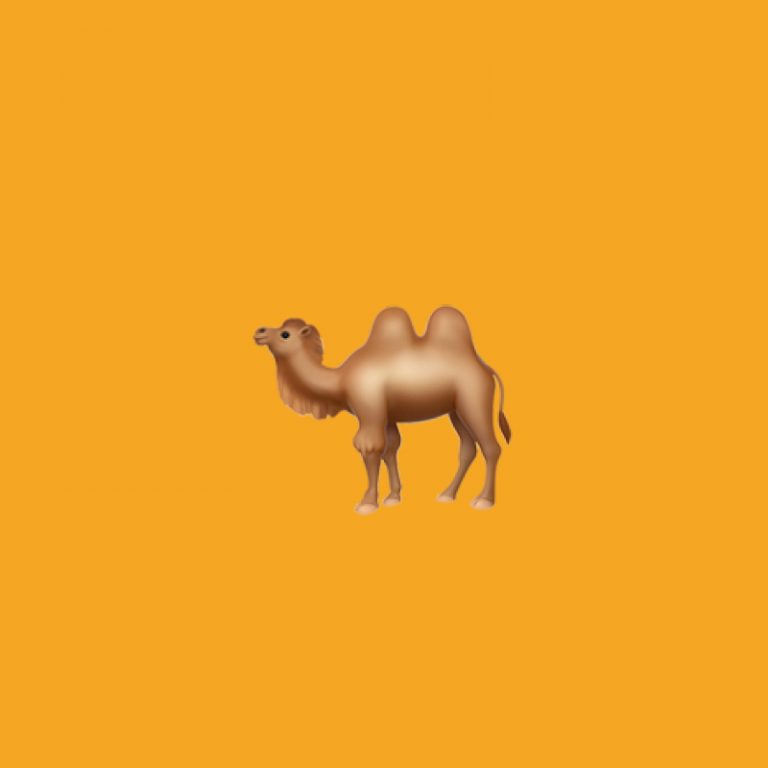 🐫 Bactrian Camel emoji Meaning | Dictionary.com