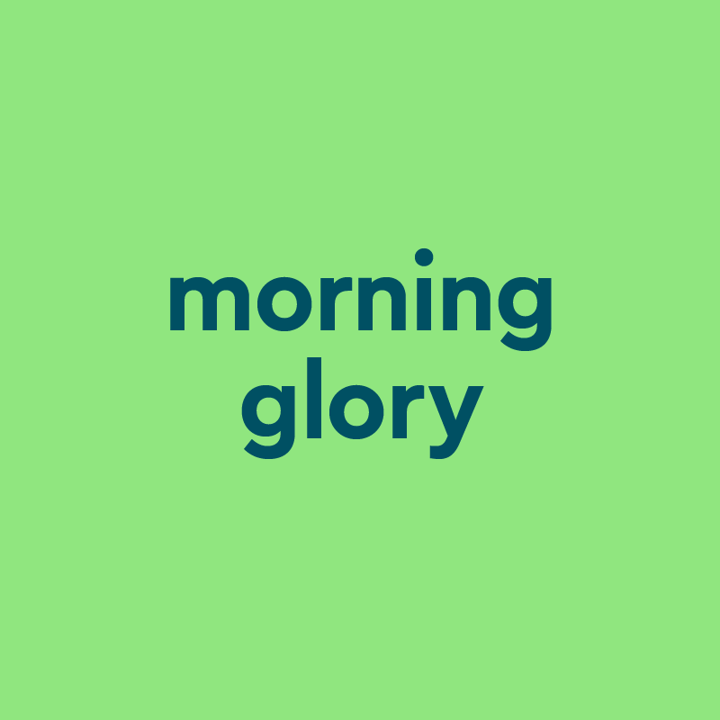 What Is A Synonym For Morning Glory