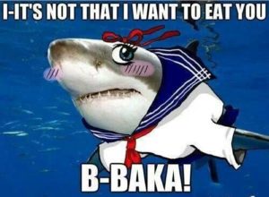 Baka Meaning | Translations By Dictionary.com