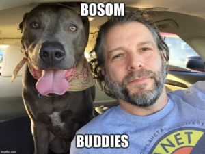 Bosom  meaning of Bosom 