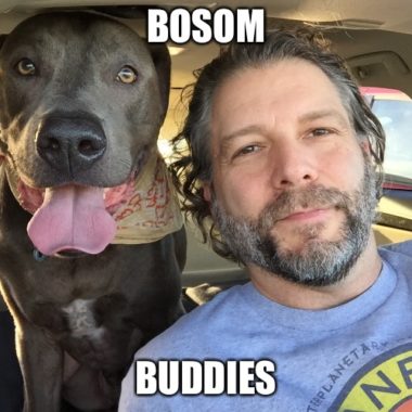 Pronunciation of Bosom  Definition of Bosom 