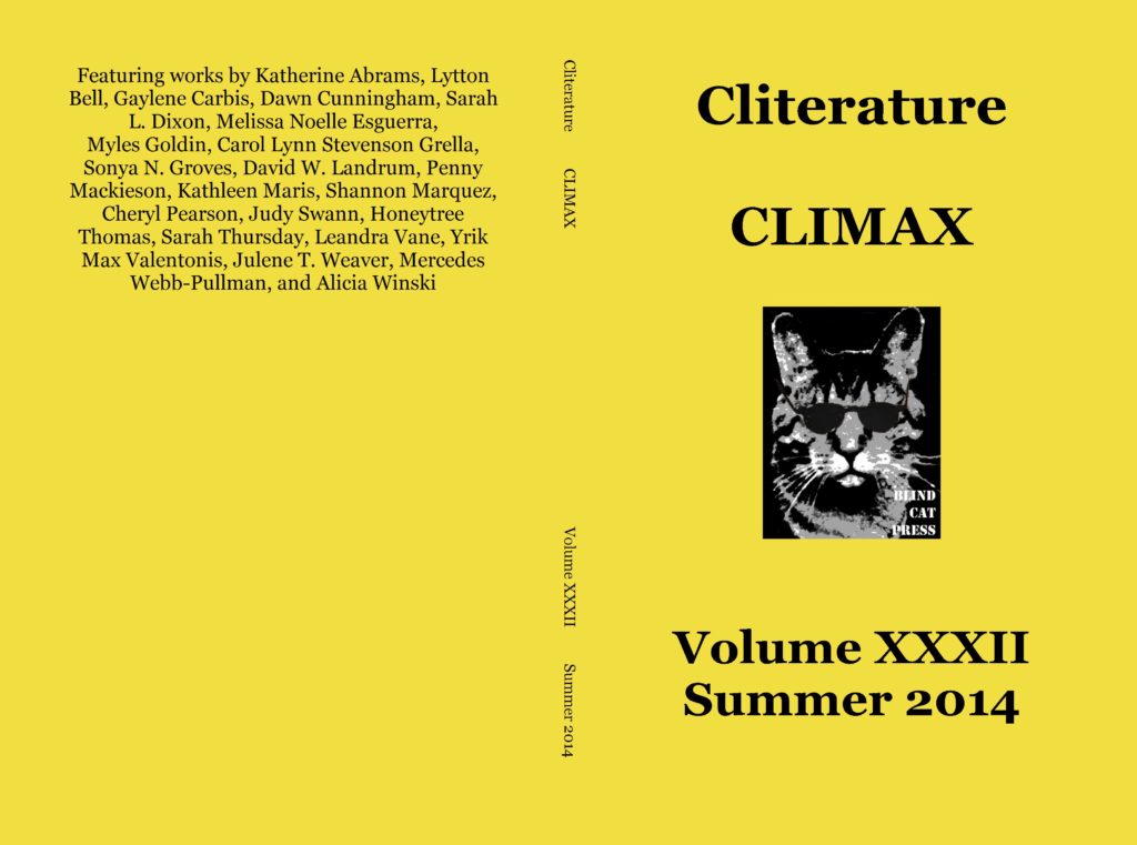 What Does Climax Mean In English