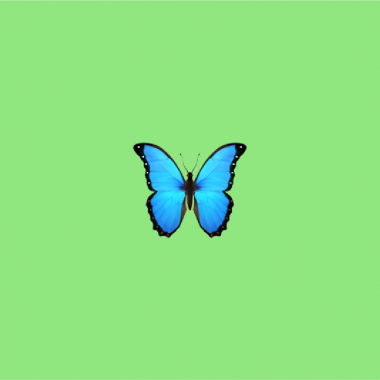 green background with butterfly emoji on it