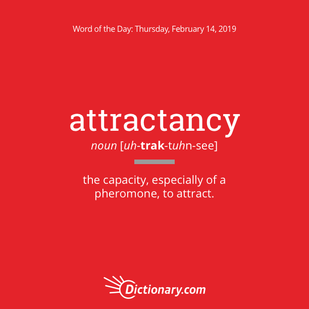 dictionary word of the day