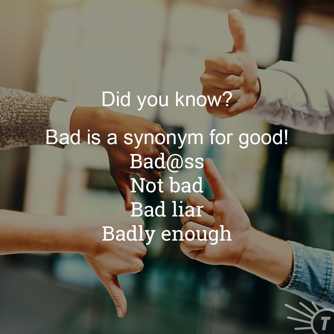 Not All Bad 7 Ways Bad Can Be Good Dictionary