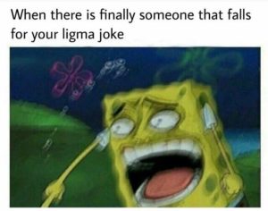 Ligma balls  Meme by TYBOON  Memedroid