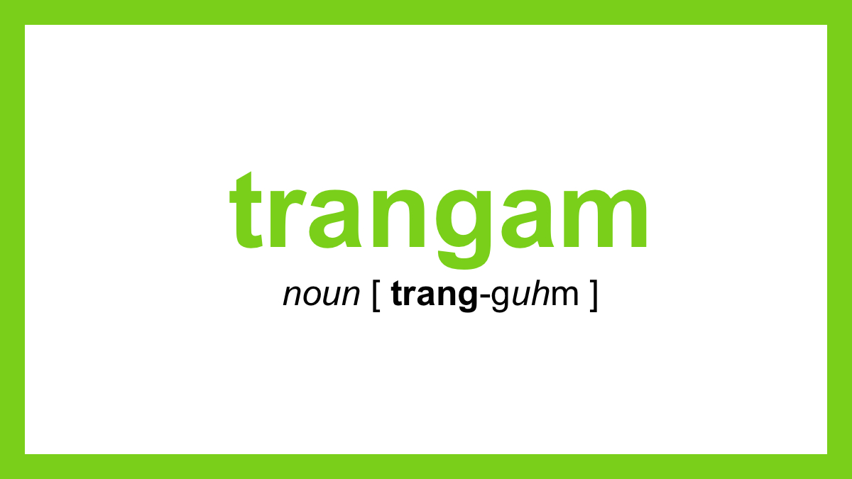 Word Of The Day Trangam Dictionary Com