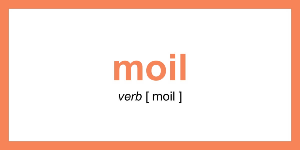 Word Of The Day Moil Dictionary Com