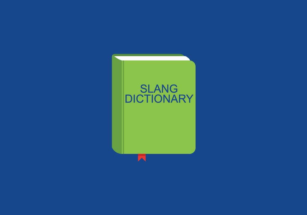 what does a dictionary of slang do