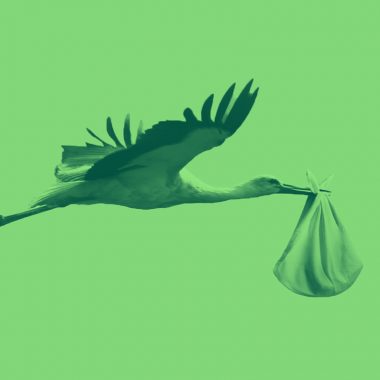 stork carrying a baby bundle, on a green background.