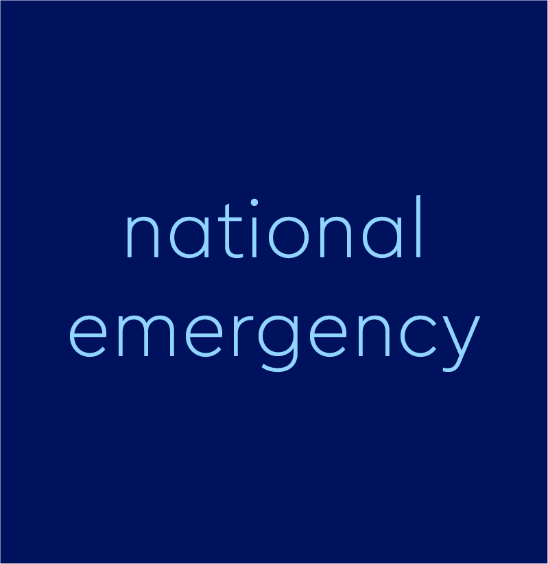 national-emergency-meaning-politics-by-dictionary