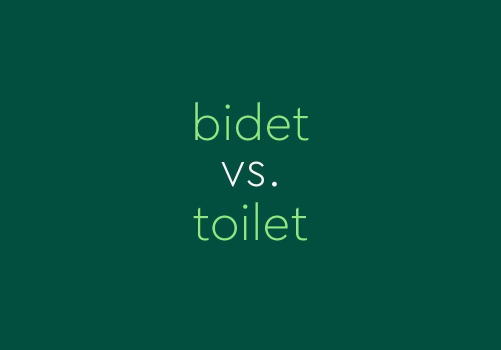 Bidet Vs Toilet What s The Difference Dictionary