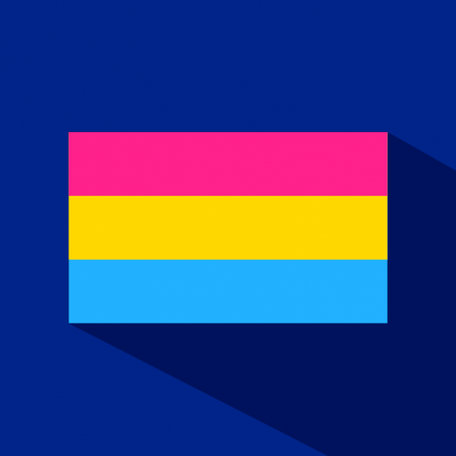 pansexual Meaning | Gender & Sexuality | Dictionary.com