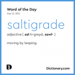 Word of the Day - saltigrade