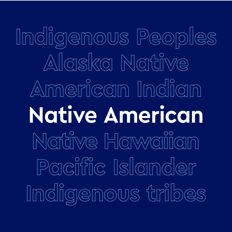 understanding-native-american-heritage-the-tribes-languages-and