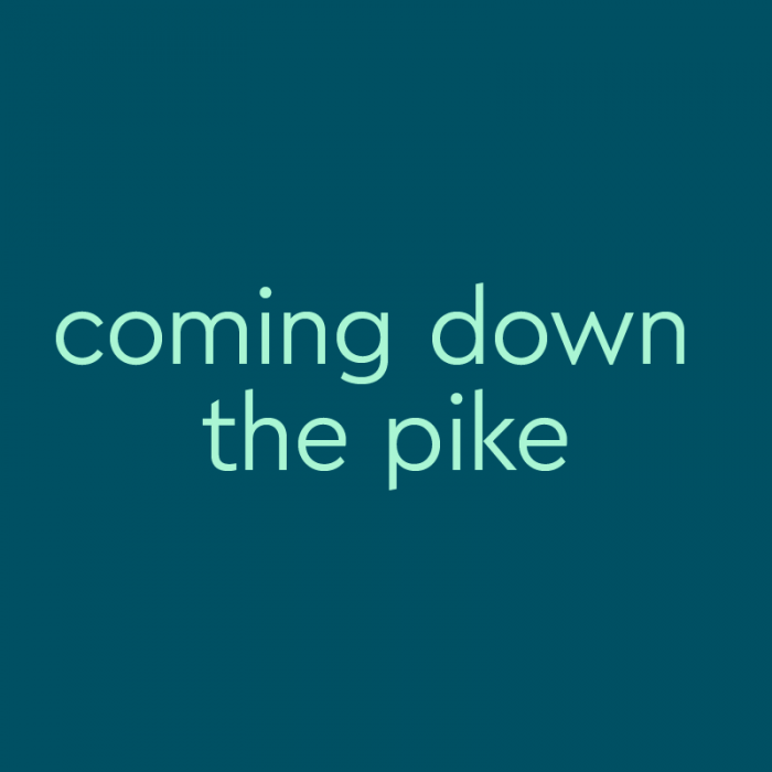 Coming Down The Pike Meaning Origin Slang By Dictionary