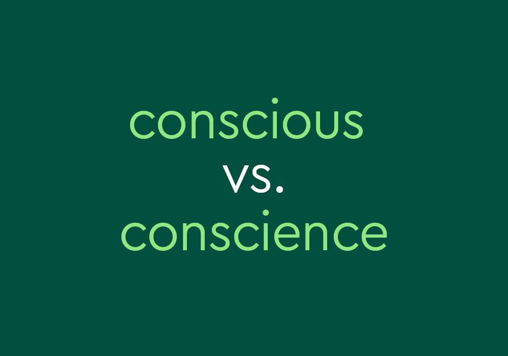  Conscious Vs Conscience What s The Difference Dictionary