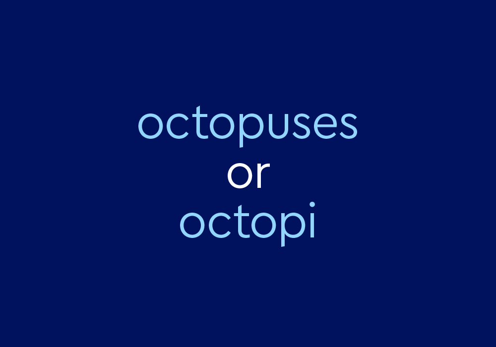 Is The Plural Of Octopus Octopuses Or Octopi Dictionary