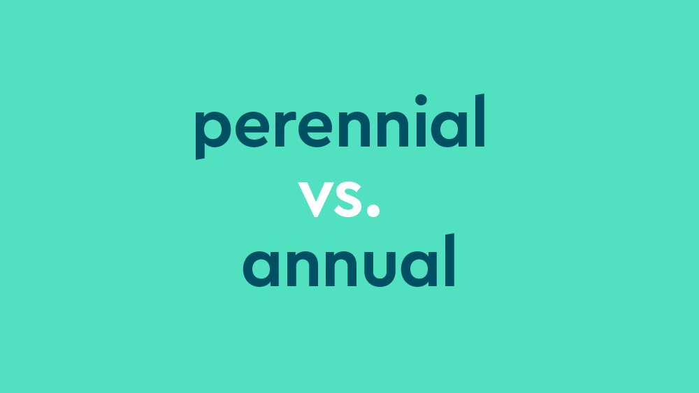  Annual Vs Perennial What s The Difference Dictionary