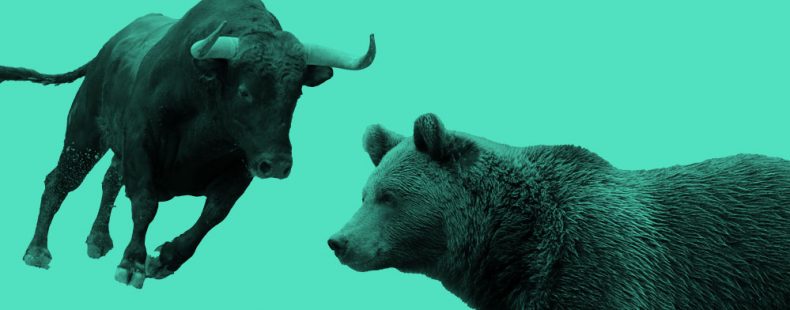 bear and bull market