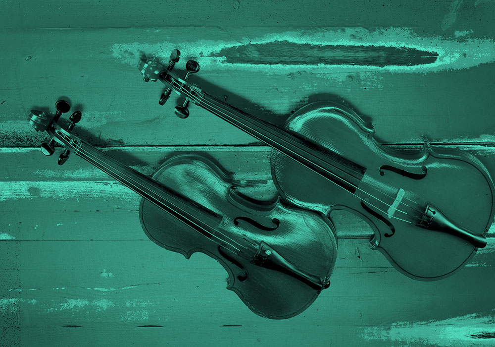 Viola" "Violin" – What's The Difference? |