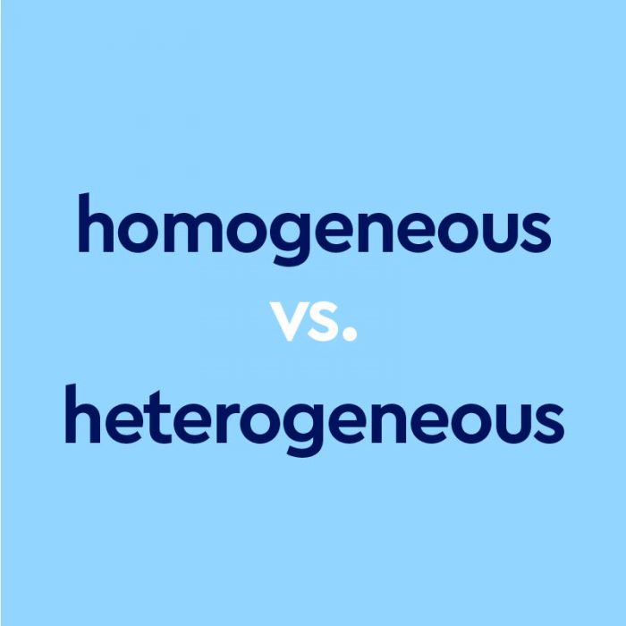 Homogeneous Vs Heterogeneous Whats The Difference Laptrinhx News