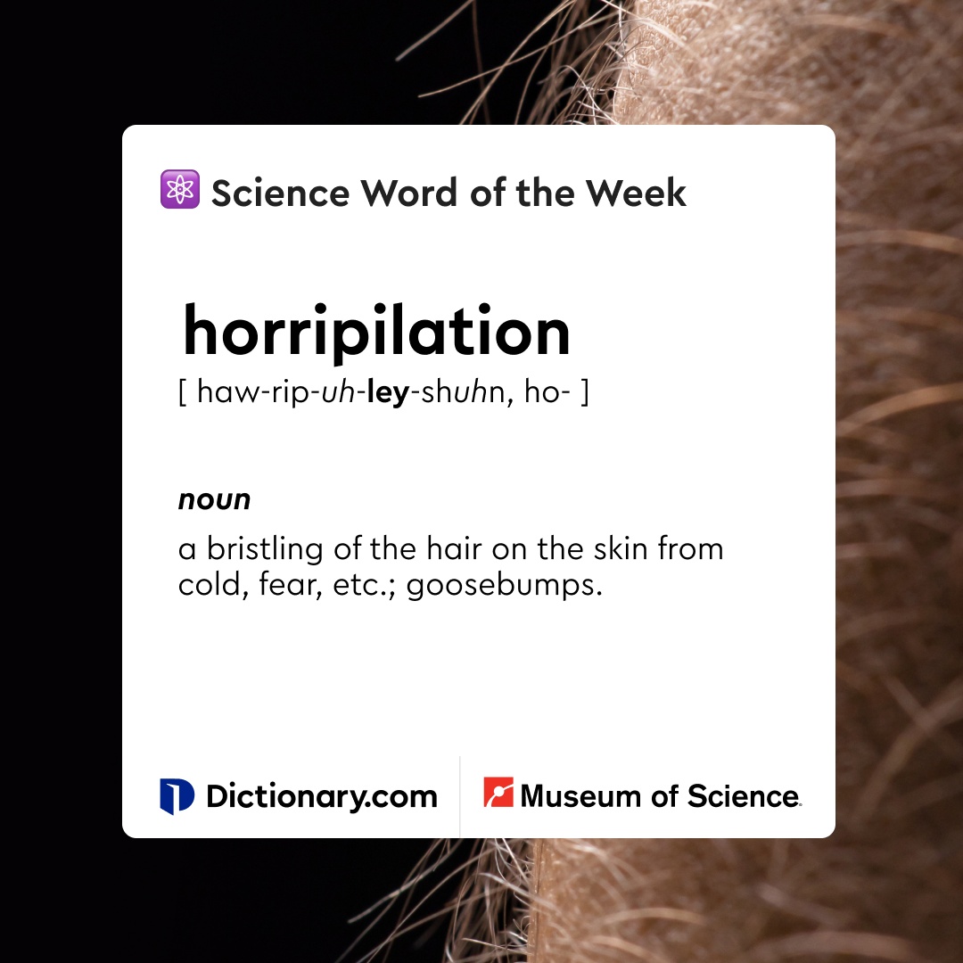 horripilation