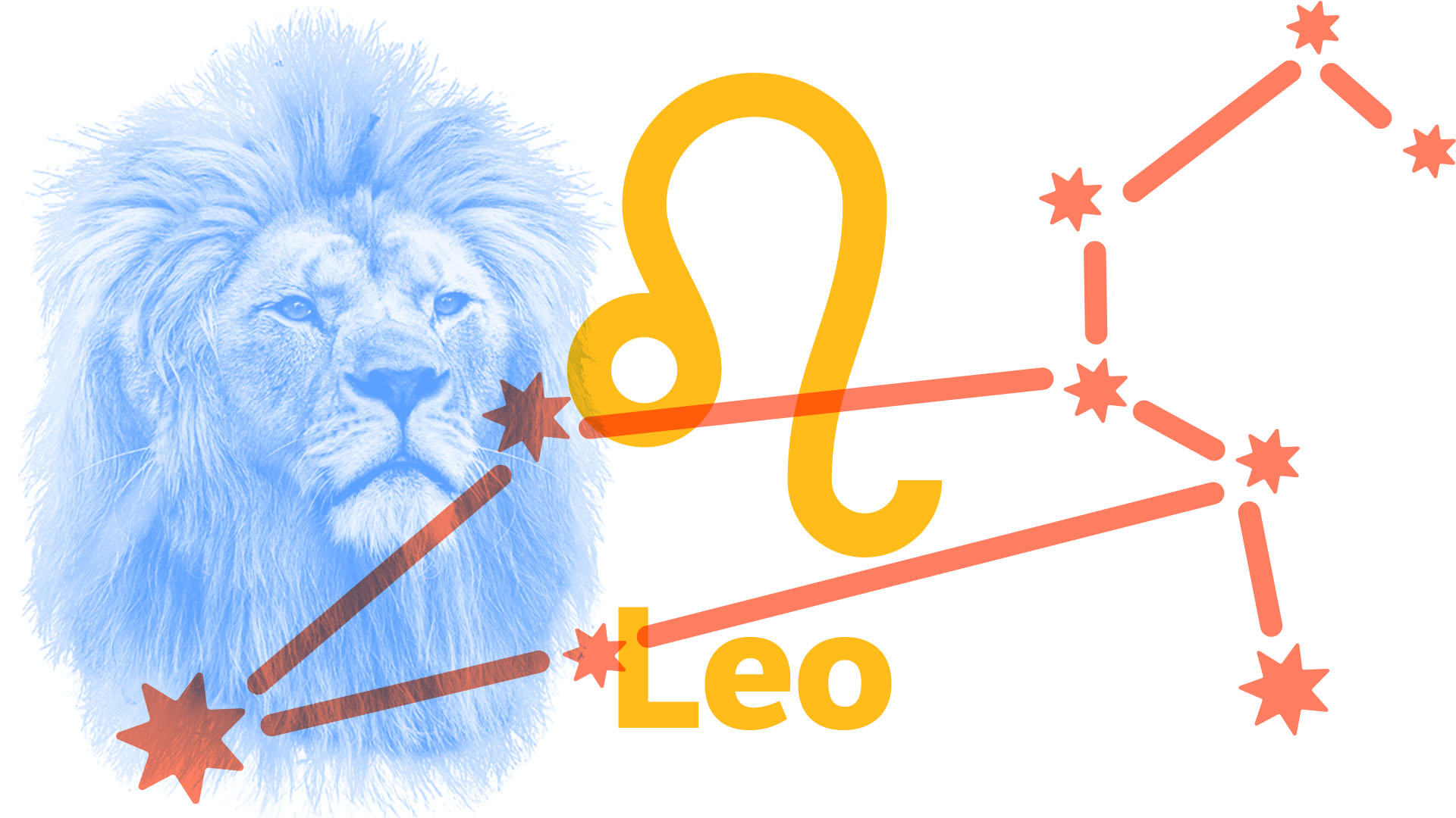 Words That Every Leo Should Know Dictionary