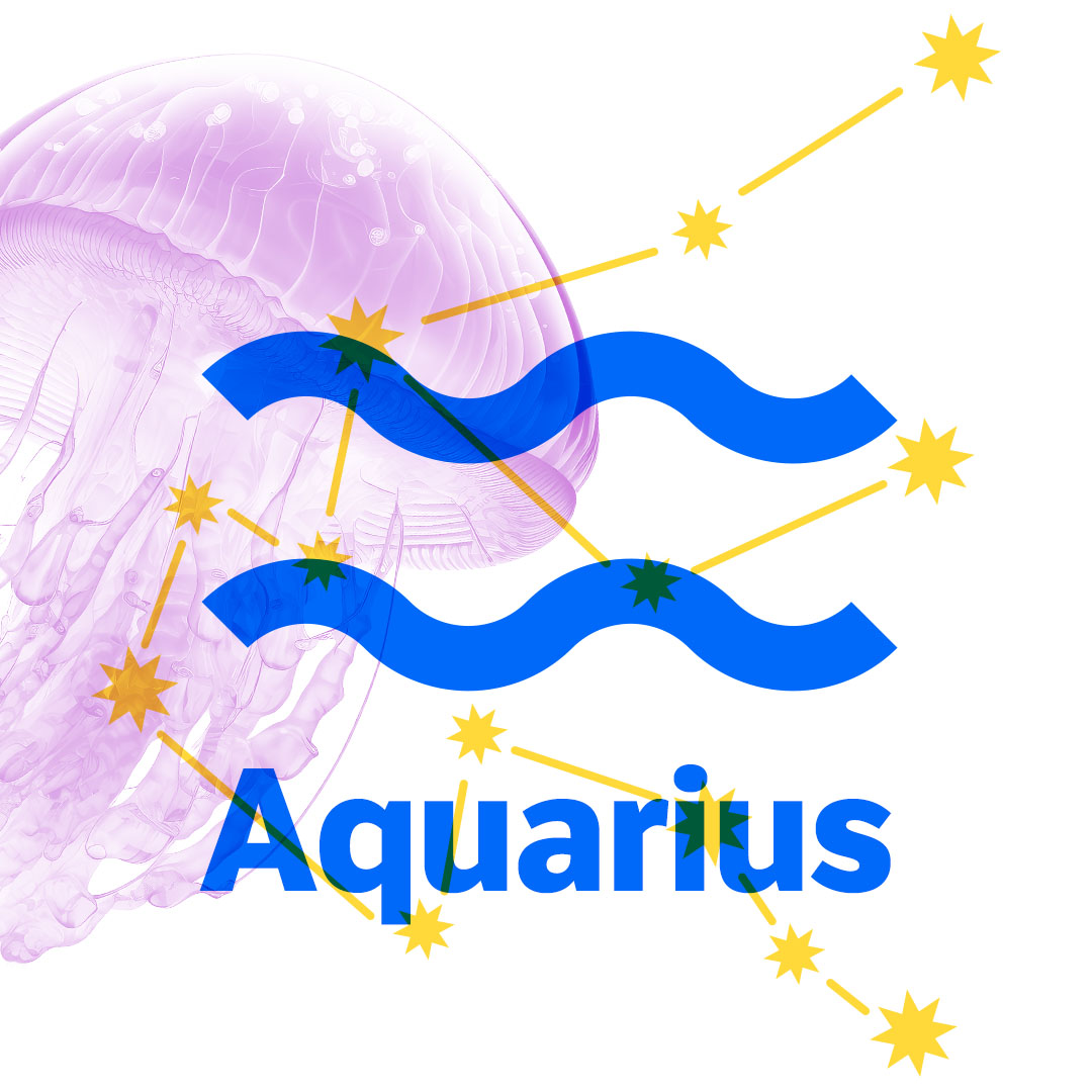 ♒ The Age Of Aquarius What Words Best Describe Aquarians?